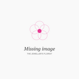 Missing image